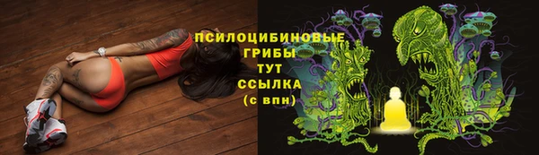 прущие крисы Алексин